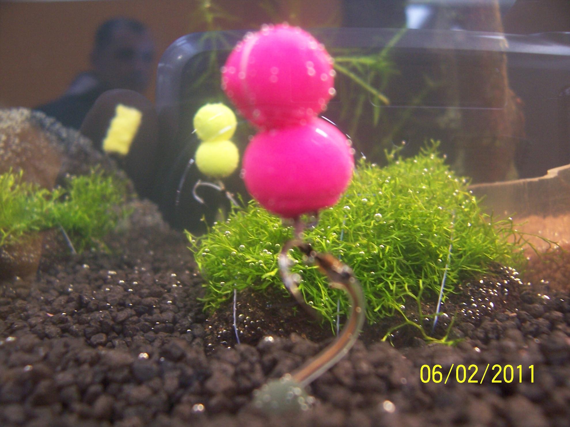 rig& baits - 1003760.JPG